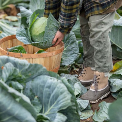 MUCKBOOT Women's Originals Duck Lace brown