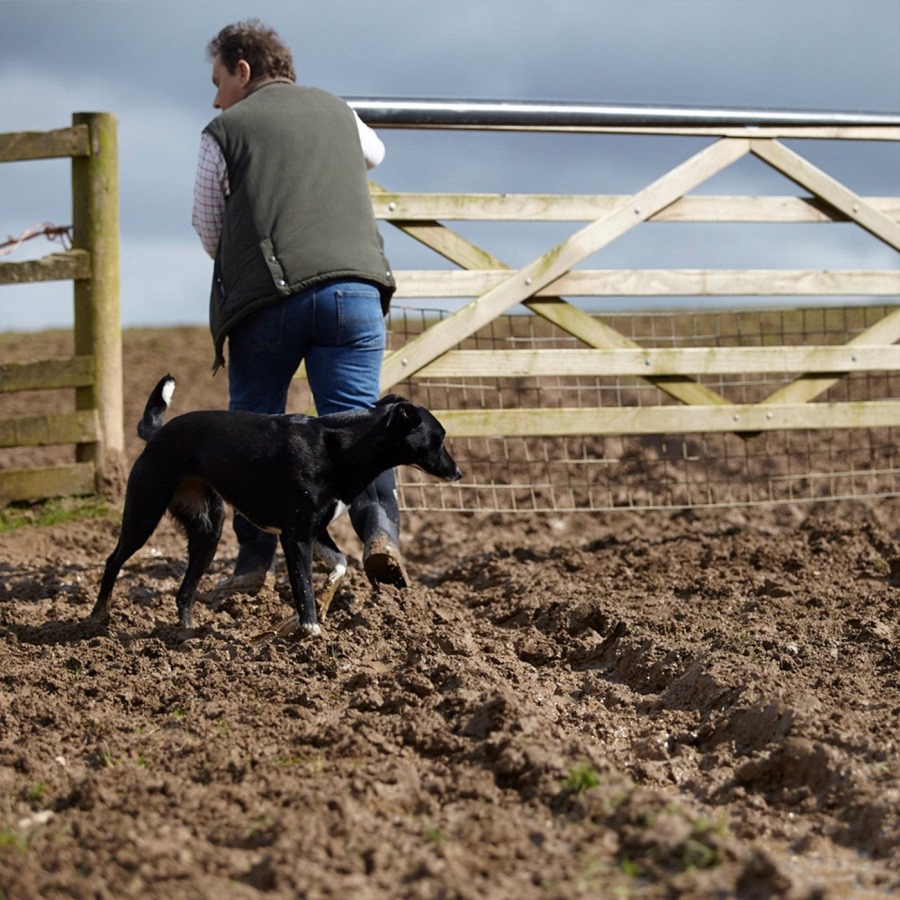Bark Men's Excursion Pro Shoes Muckboot