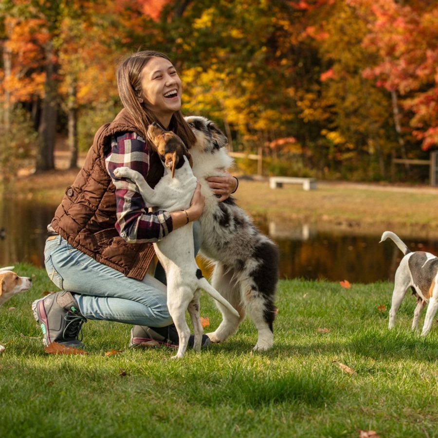 Grey Women's Apex Lace-Up Short Boots Muckboot