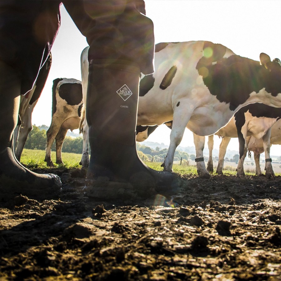 Moss Unisex Chore Steel Toe Tall Boots Muckboot