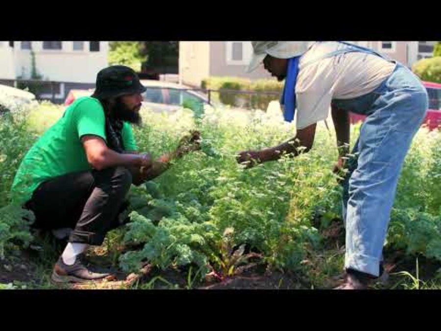 Muckboot Grey Men's Outscape Lace-Up Shoes