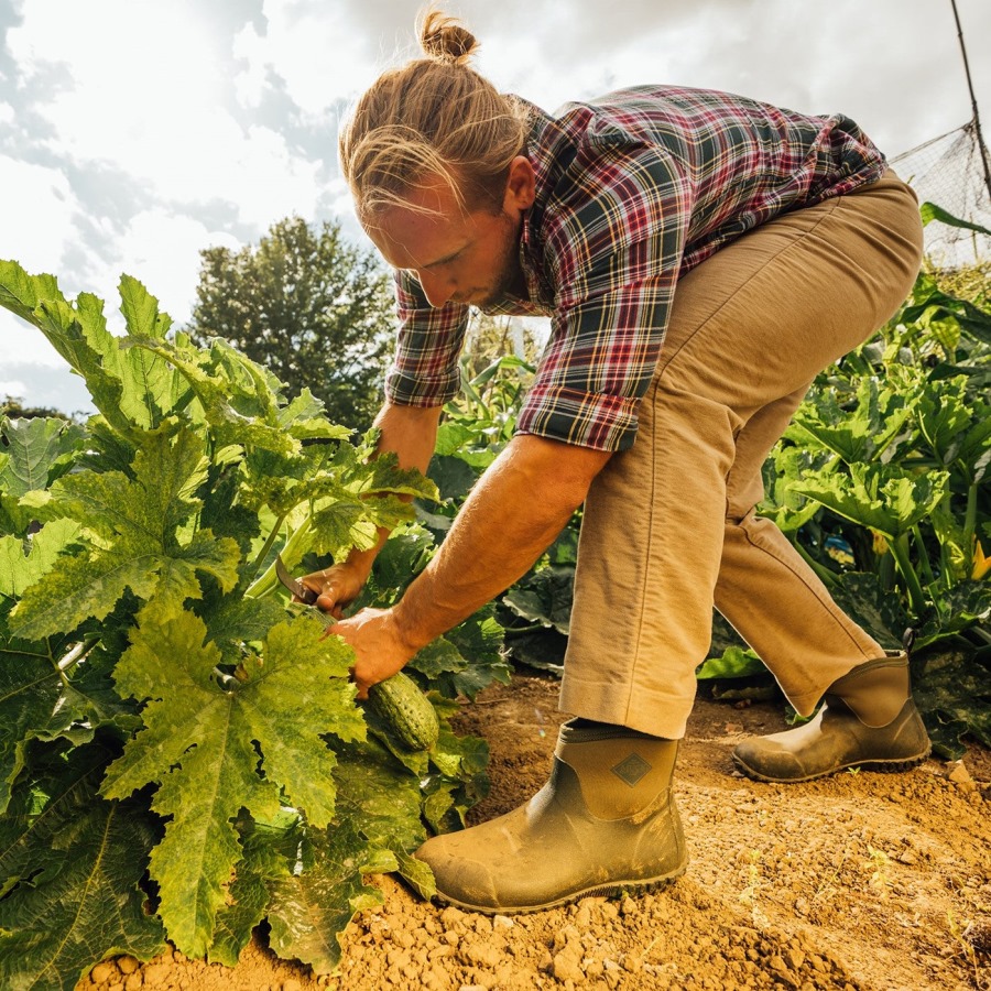 Muckboot Moss Men's RHS Muckster II Ankle Boots
