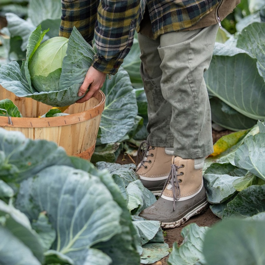 Women's Muck Originals Duck Lace-Up Leather Short Boots Muckboot Taupe